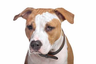 Similar image 1473933