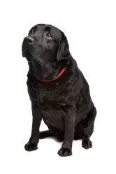 Similar image 1473934