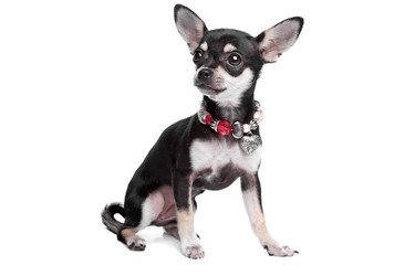 Similar image 1473939