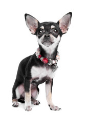 Similar image 1473942