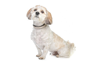 Similar image 1473945