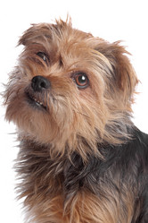 Similar image 1473967