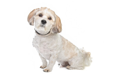 Similar image 1473973