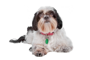 Similar image 1473974