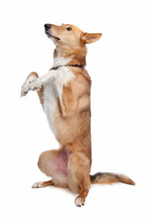 Similar image 1473981