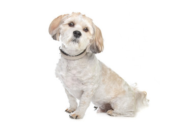 Similar image 1473986