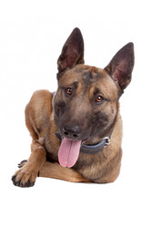 Similar image 1474011