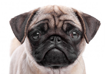 Similar image 1474019