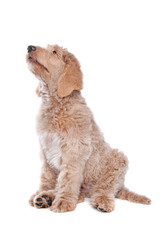 Similar image 1474024