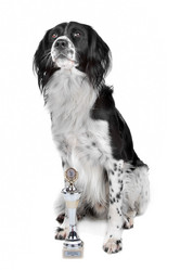 Similar image 1474025