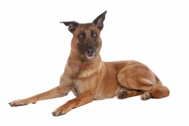 Similar image 1474028