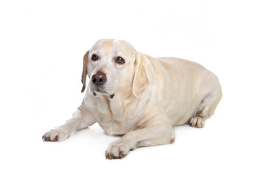 Similar image 1474030