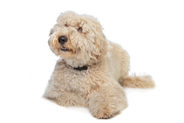 Similar image 1474038