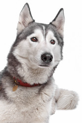 Similar image 1474043