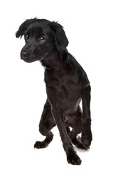 Similar image 1474050