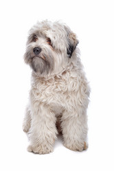 Similar image 1474052