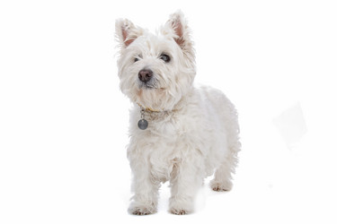 Similar image 1474058