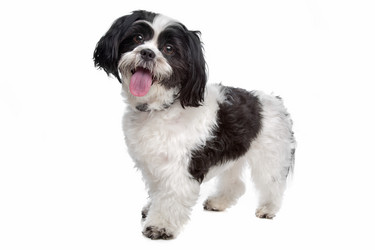 Similar image 1474064