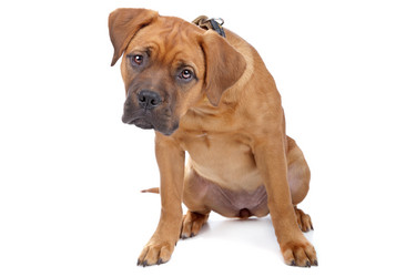 Similar image 1474065