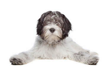 Similar image 1474075