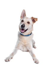 Similar image 1474087