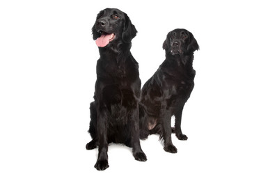 Similar image 1474093