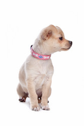 Similar image 1474112