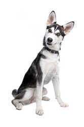 Similar image 1474117