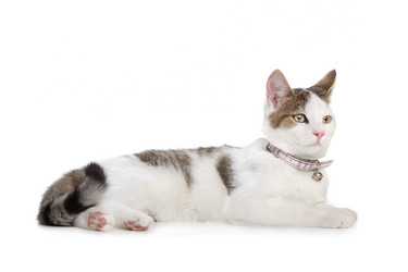 Similar image 1474118