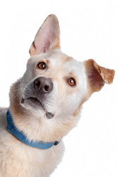 Similar image 1474127