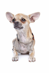 Similar image 1474155