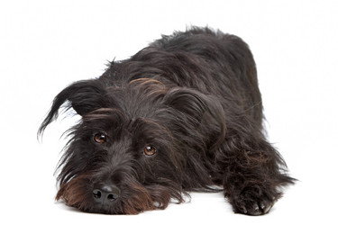 Similar image 1474158