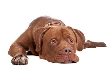 Similar image 1474164