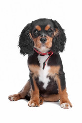 Similar image 1474166