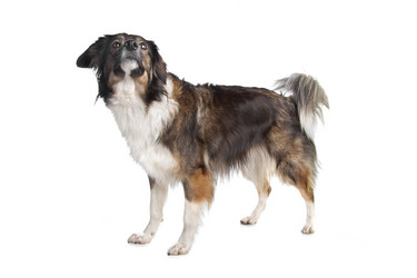 Similar image 1474171