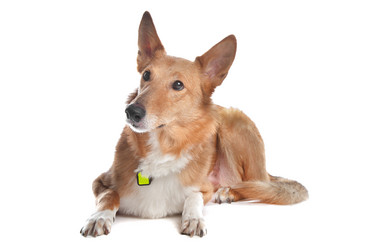 Similar image 1474170