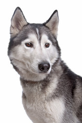 Similar image 1474180