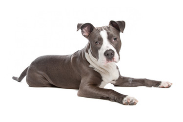 Similar image 1474181