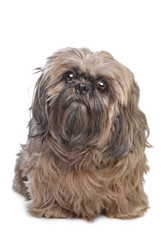 Similar image 1474200