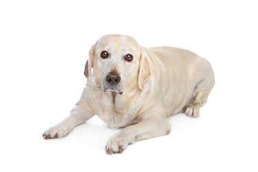 Similar image 1474208