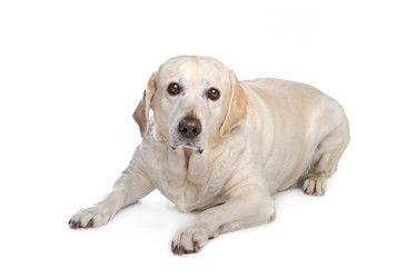 Similar image 1474212