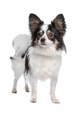 Similar image 1474213