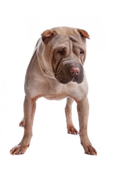 Similar image 1474233