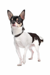 Similar image 1474239