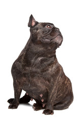 Similar image 1474243