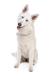 Similar image 1474244