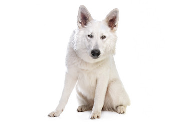 Similar image 1474246