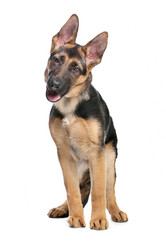 Similar image 1474250