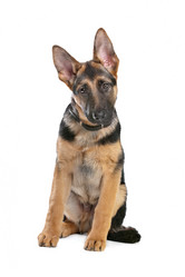 Similar image 1474253