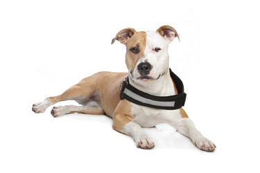 Similar image 1474254